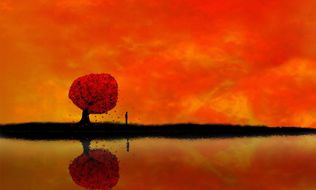 保山笙影微信朋友圈转发案例